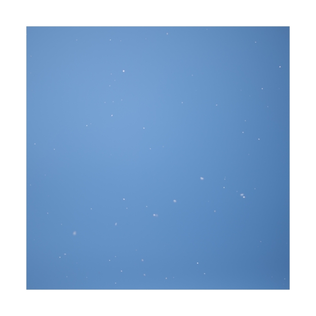 001 sakura,snow,sky
