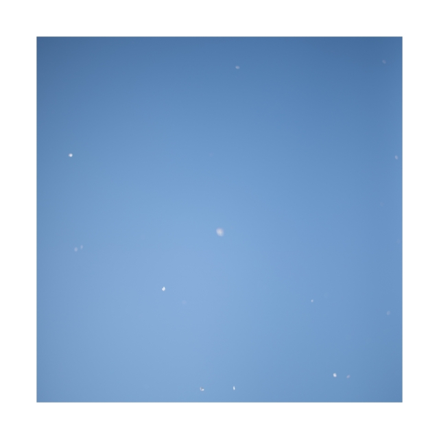 003 sakura,snow,sky